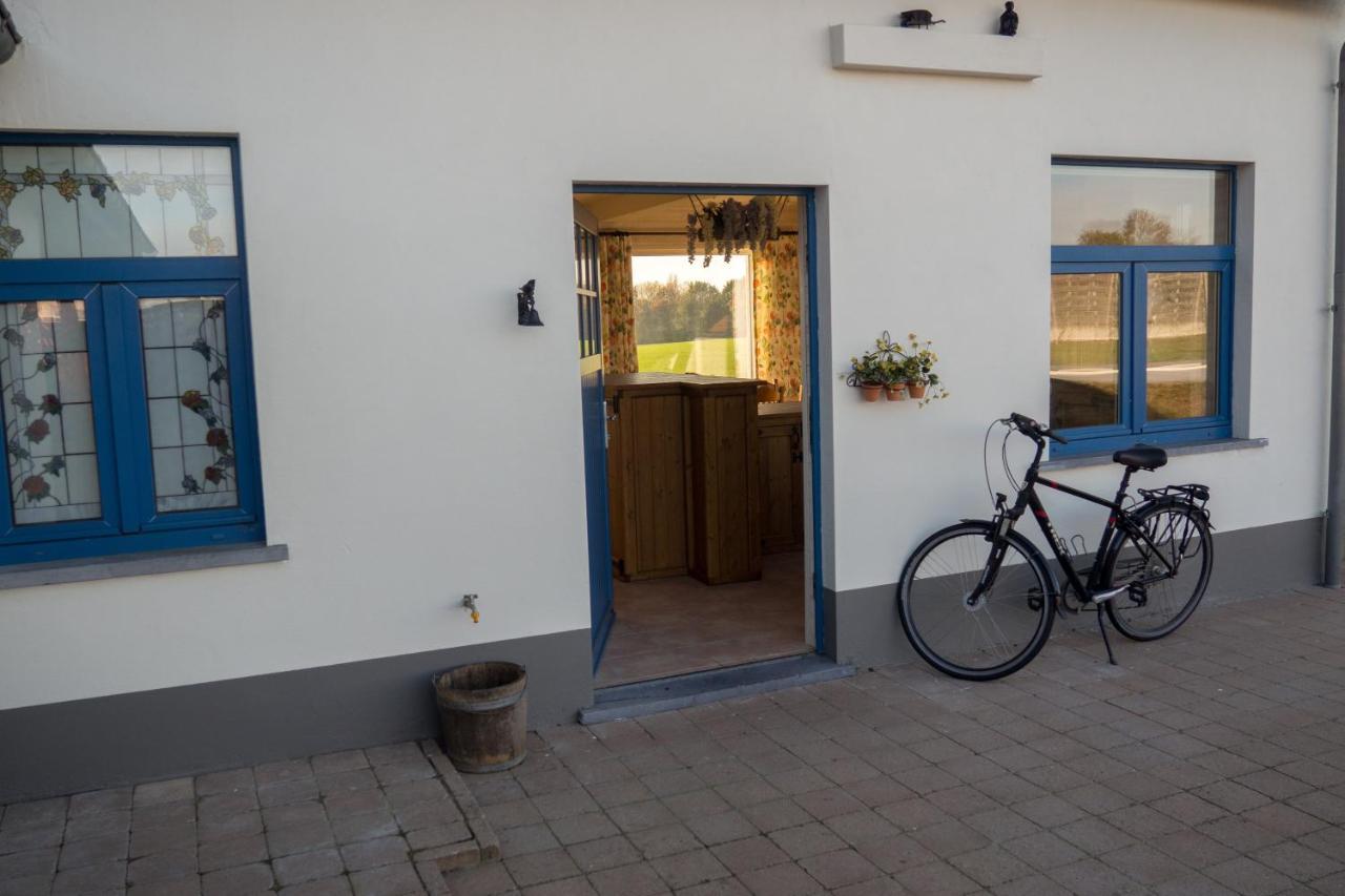 Vakantiewoning De Wilg - Rustig Gelegen Geraardsbergen Eksteriør billede